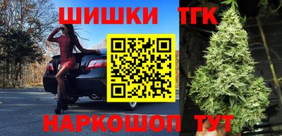 mdpv Заводоуковск