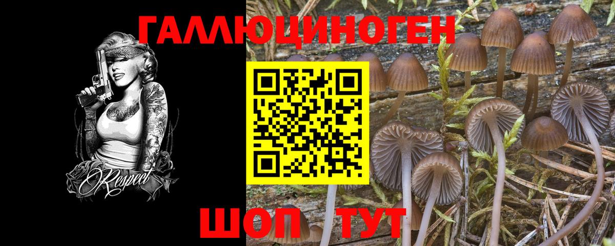 Псилоцибиновые грибы ЛСД Магнитогорск