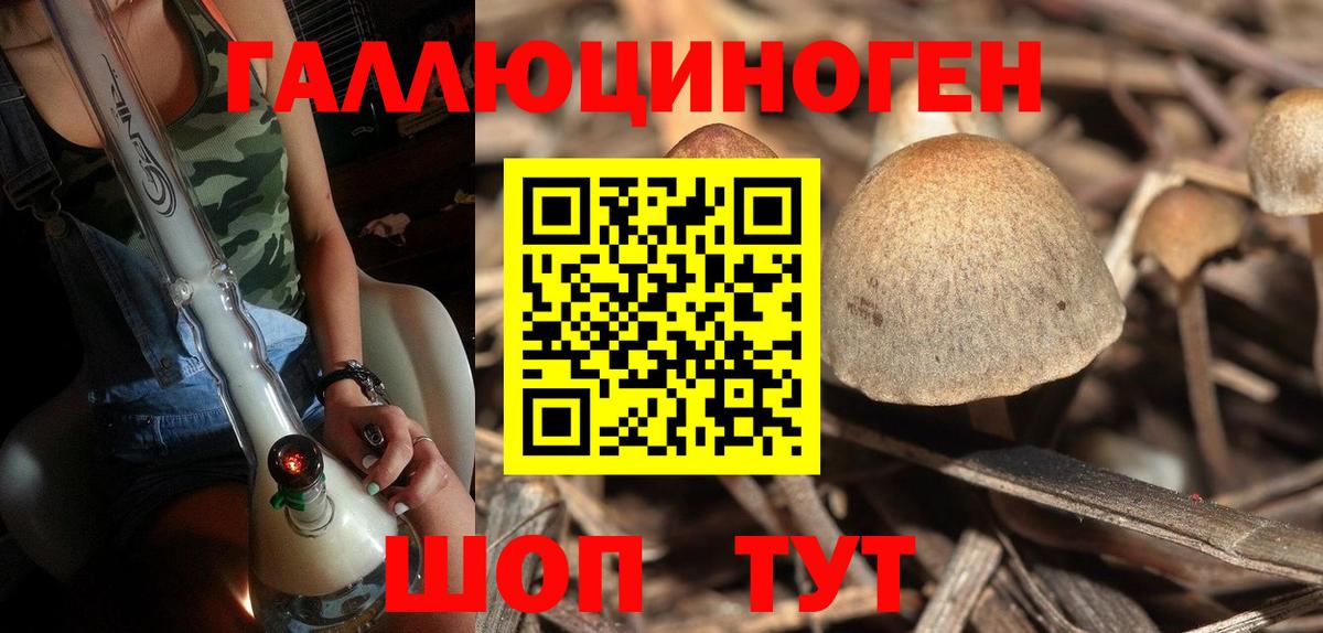 Псилоцибиновые грибы Cubensis  Вход с VPN  Магнитогорск  Галлюциногенные грибы прущие грибы 